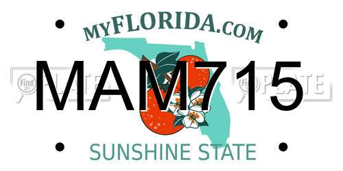 MAM715 Florida License Plate