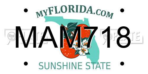 MAM718 Florida License Plate