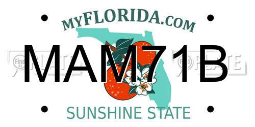MAM71B Florida License Plate