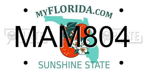 MAM804 Florida License Plate