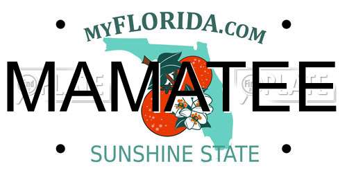 MAMATEE Florida License Plate