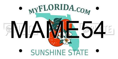 MAME54 Florida License Plate