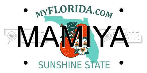 MAMIYA Florida License Plate