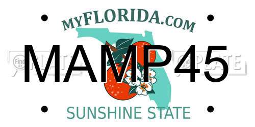 MAMP45 Florida License Plate