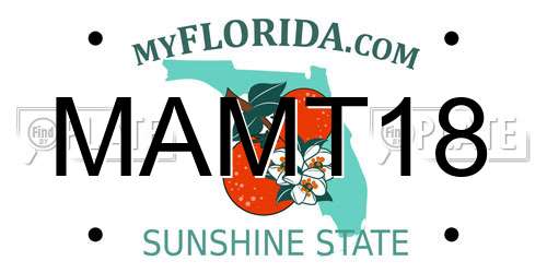 MAMT18 Florida License Plate