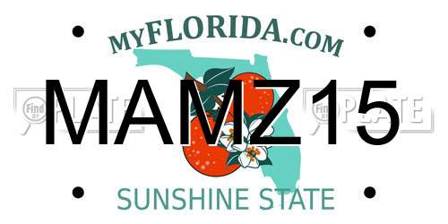 MAMZ15 Florida License Plate