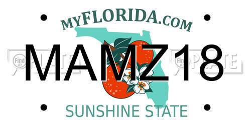 MAMZ18 Florida License Plate