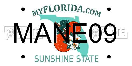 MANE09 Florida License Plate