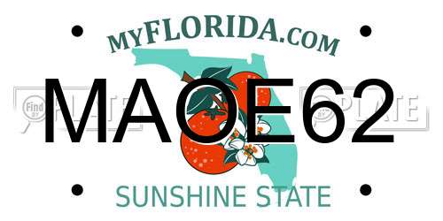 MAOE62 Florida License Plate