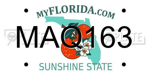 MAQ163 Florida License Plate