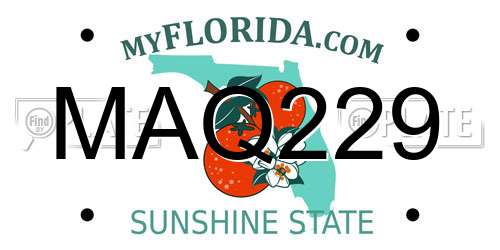 MAQ229 Florida License Plate