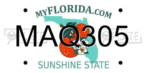 MAQ305 Florida License Plate