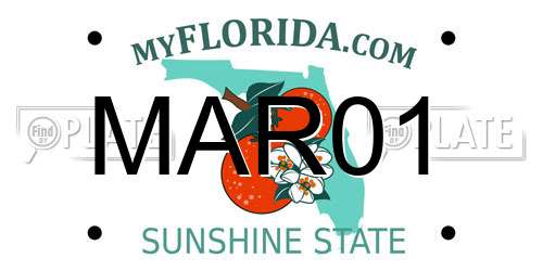 MAR01 Florida License Plate