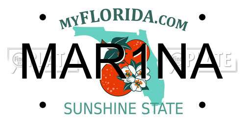MAR1NA Florida License Plate