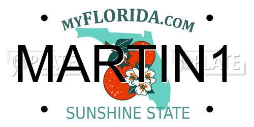 MARTIN1 Florida License Plate
