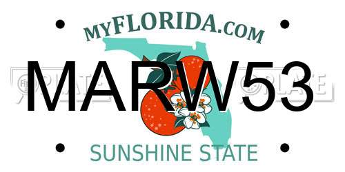 MARW53 Florida License Plate