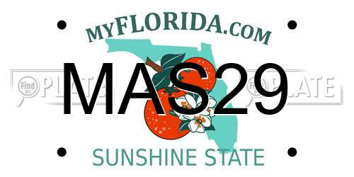 MAS29 Florida License Plate