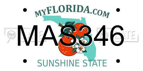 MAS346 Florida License Plate