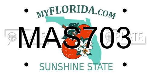 MAS703 Florida License Plate