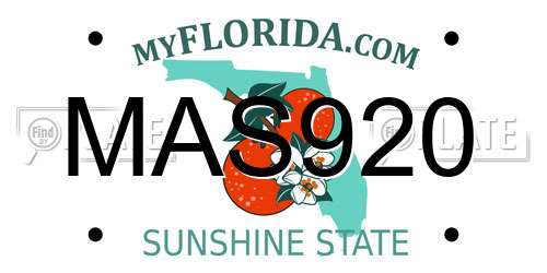 MAS920 Florida License Plate