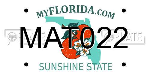 MAT022 Florida License Plate
