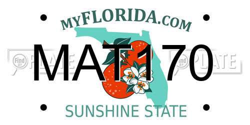 MAT170 Florida License Plate