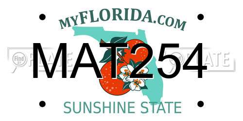 MAT254 Florida License Plate