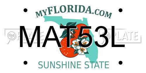 MAT53L Florida License Plate