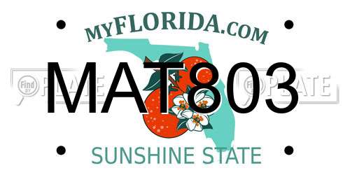 MAT803 Florida License Plate