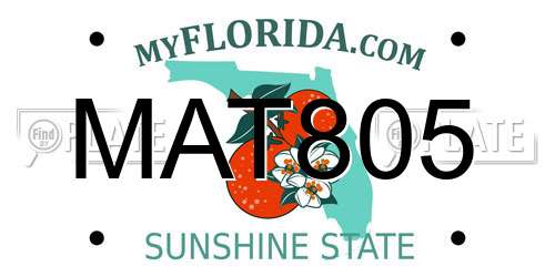 MAT805 Florida License Plate