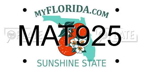 MAT925 Florida License Plate