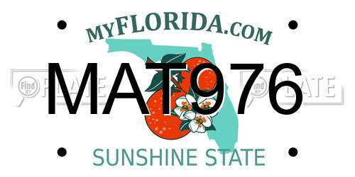 MAT976 Florida License Plate