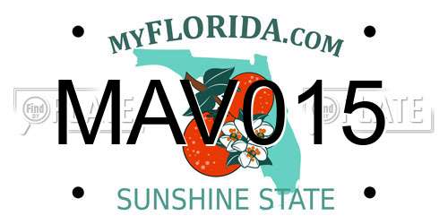 MAV015 Florida License Plate