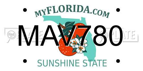 MAV780 Florida License Plate