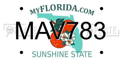 MAV783 Florida License Plate