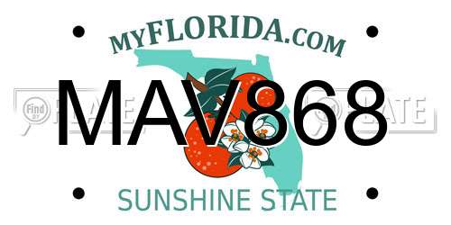 MAV868 Florida License Plate