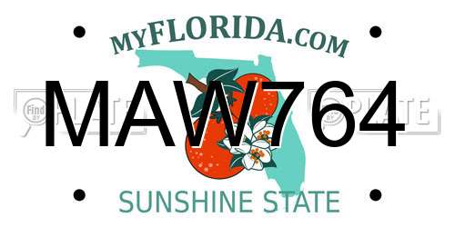 MAW764 Florida License Plate
