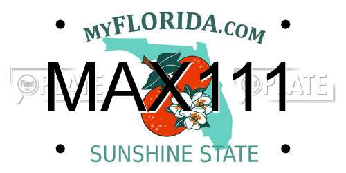 MAX111 Florida License Plate