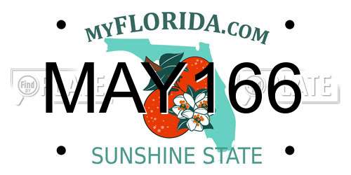MAY166 Florida License Plate