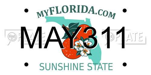 MAY311 Florida License Plate