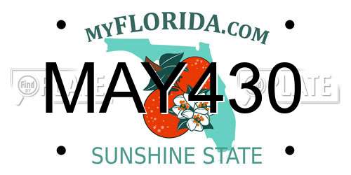 MAY430 Florida License Plate