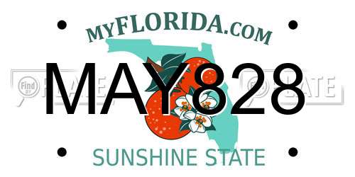 MAY828 Florida License Plate