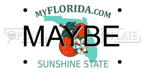 MAYBE Florida License Plate