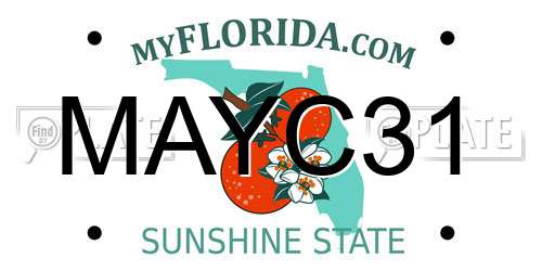 MAYC31 Florida License Plate