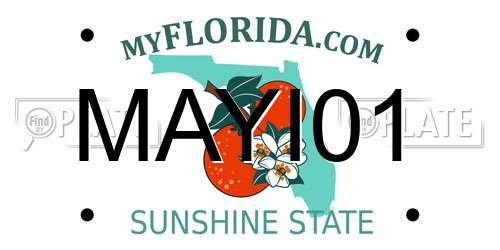MAYI01 Florida License Plate