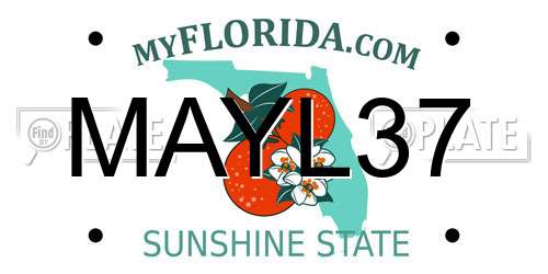 MAYL37 Florida License Plate