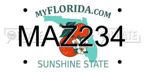 MAZ234 Florida License Plate