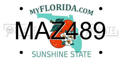 MAZ489 Florida License Plate