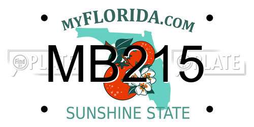 MB215 Florida License Plate