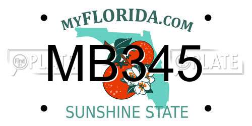 MB345 Florida License Plate